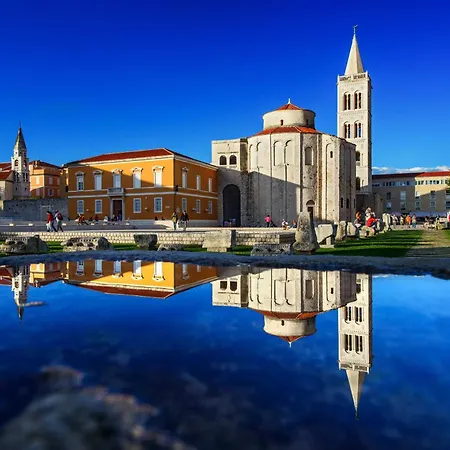 Noel Zadar